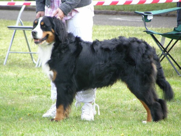 Výstava Rožnov