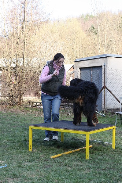 Moje družstvo