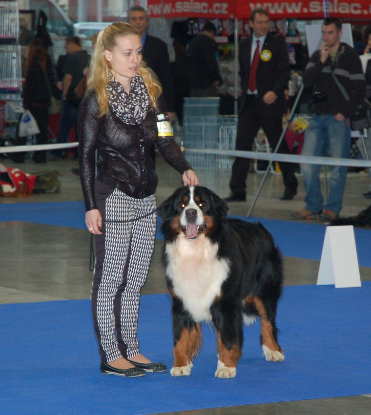 NVP Brno