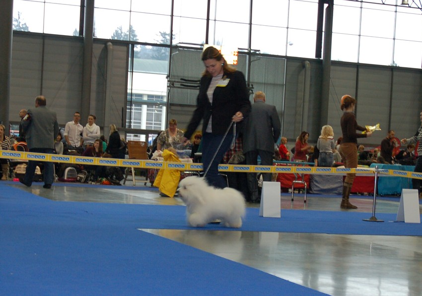 NVP Brno