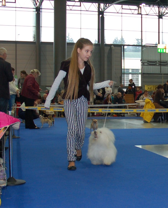 NVP Brno