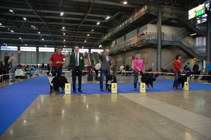 NVP Brno