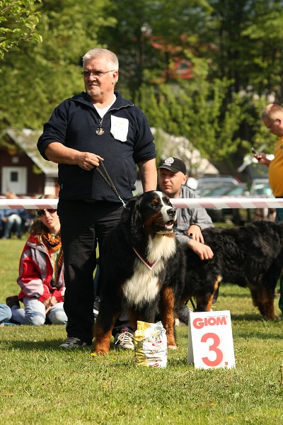 Výstava Rožnov