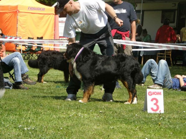 Výstava Rožnov