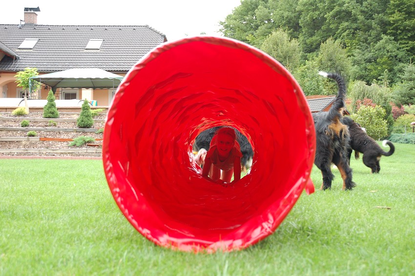 Dárek za vysvědčení
