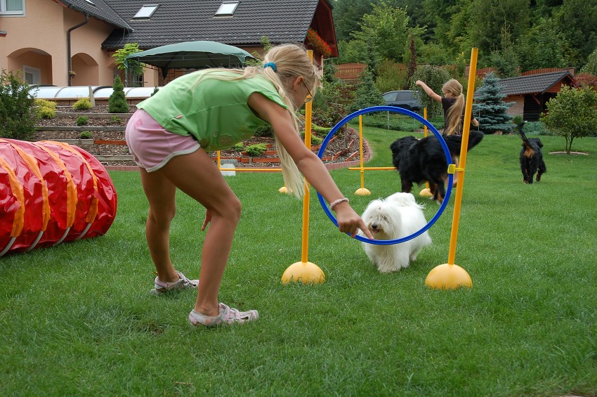 Dárek za vysvědčení