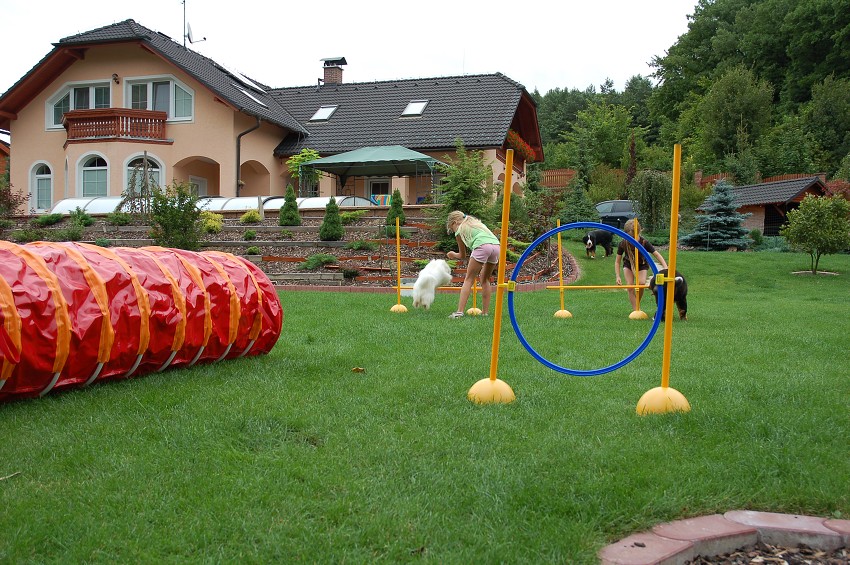 Dárek za vysvědčení