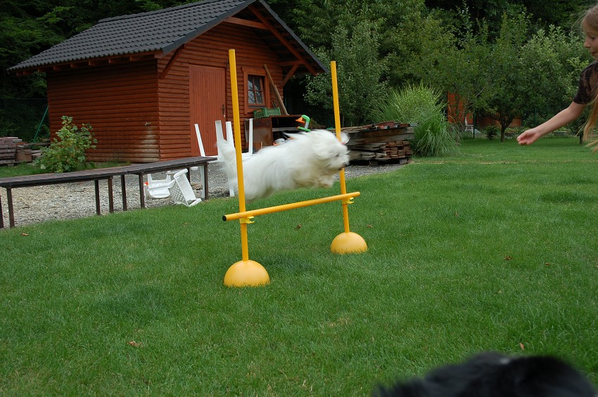 Dárek za vysvědčení
