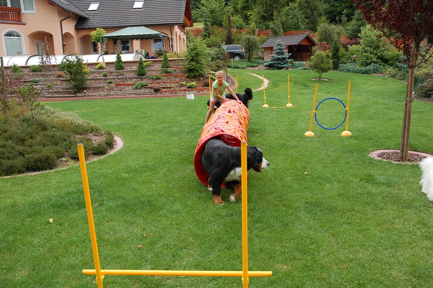 Dárek za vysvědčení