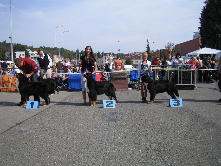 NVP Brno 2011